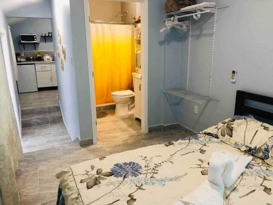 New Luxurious Studio Private In The Heart Of Miami Exteriör bild