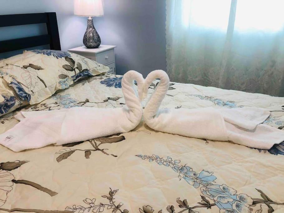 New Luxurious Studio Private In The Heart Of Miami Exteriör bild