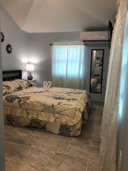 New Luxurious Studio Private In The Heart Of Miami Exteriör bild
