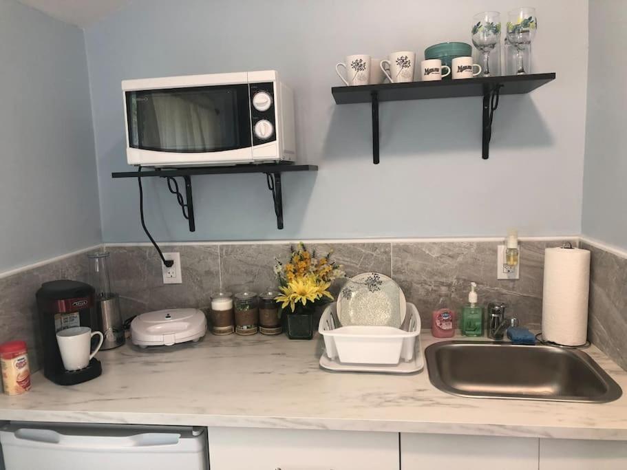 New Luxurious Studio Private In The Heart Of Miami Exteriör bild