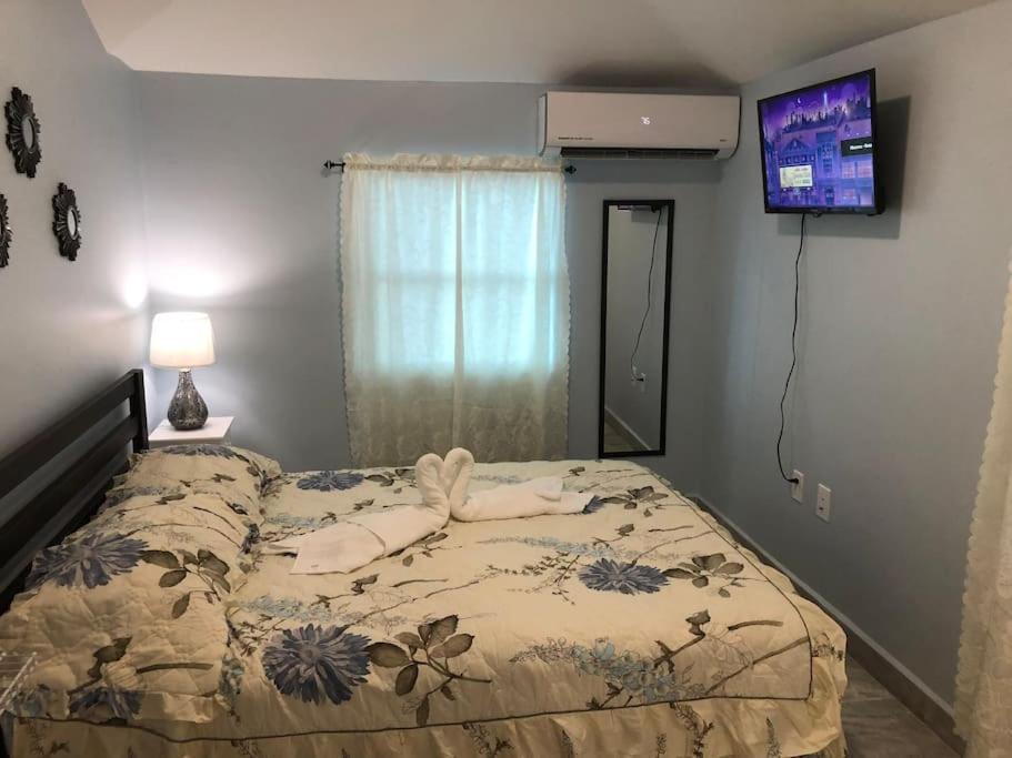 New Luxurious Studio Private In The Heart Of Miami Exteriör bild